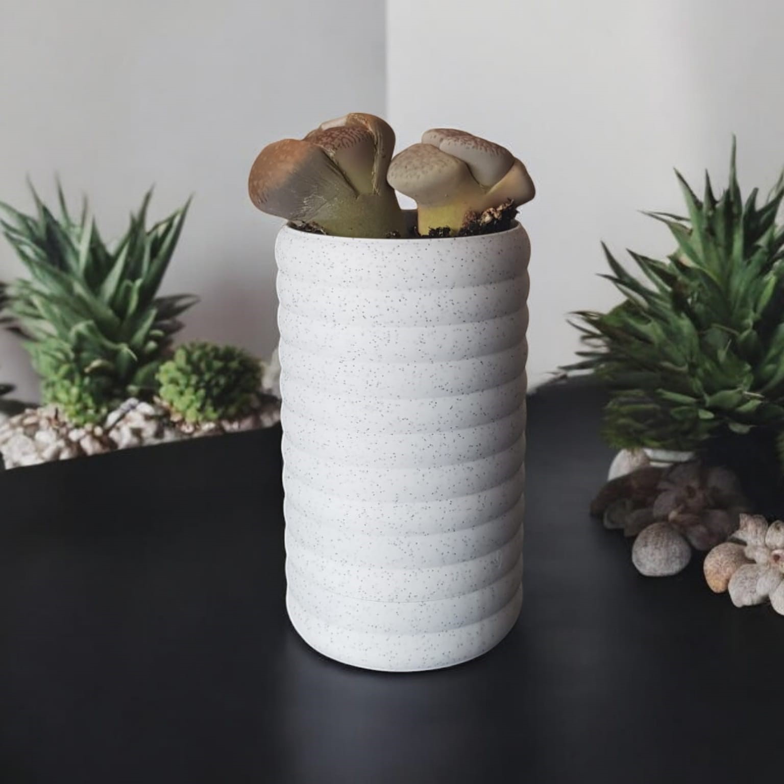 Wall Planter 1.2